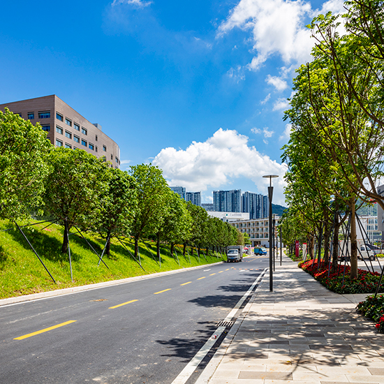深圳大學(xué)西麗校區(qū)建設(shè)工程（二期）項目園林綠化工程