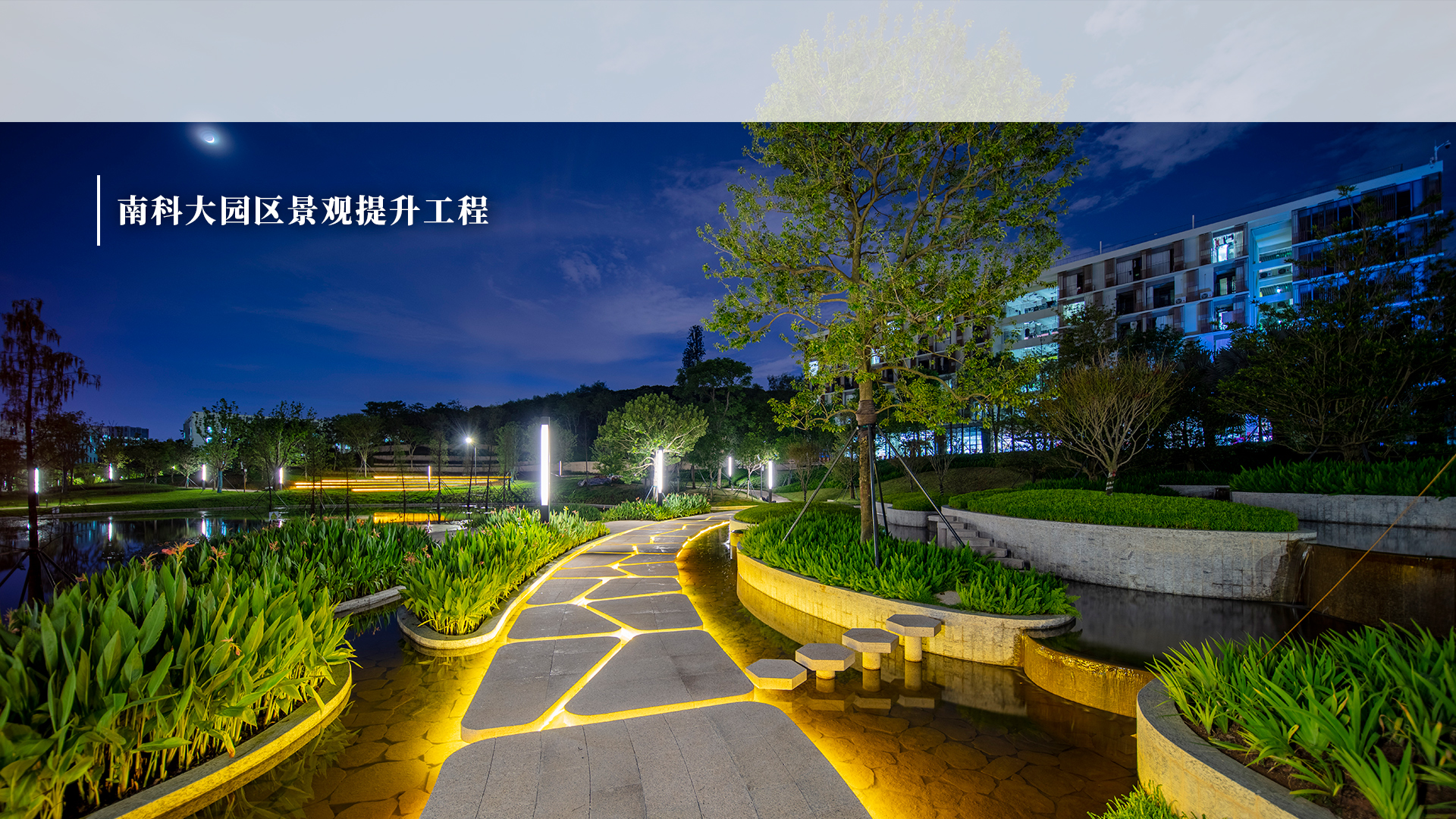 南科大園區(qū)景觀(guān)提升工程