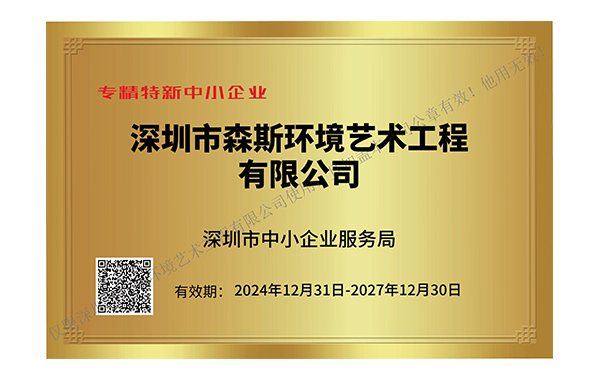 深圳市專(zhuān)精特新中小企業(yè)
